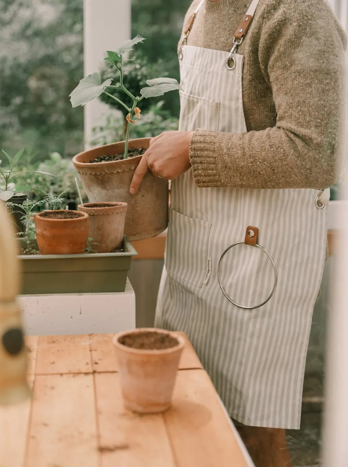 The Apron